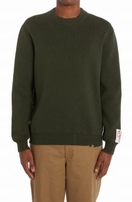 Regular Knit Crew Neck Distressed Cotton In Green