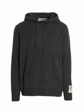 Cachemire And Cachemire Blend Hooded Sweater In Gray
